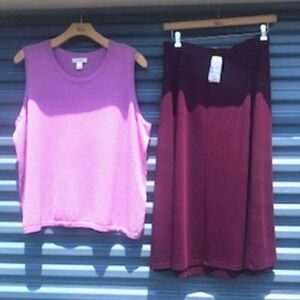 Pleated Skirt & Casual Top Size: 24/26W 3x . {2Pc Bundle} . Christopher & Banks